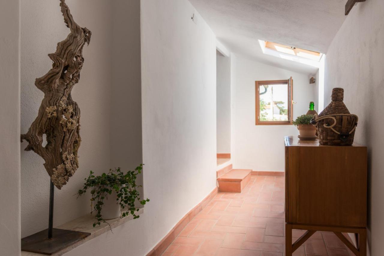 Schiaccia Ghiande Farm stay Massa Marittima